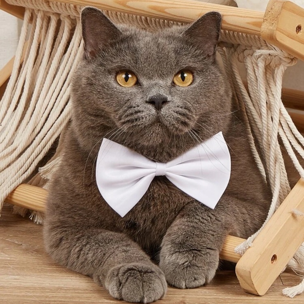 🐈 Adorable Kitty Cat Or Small Doggie Cotton Bow Tie 🐈